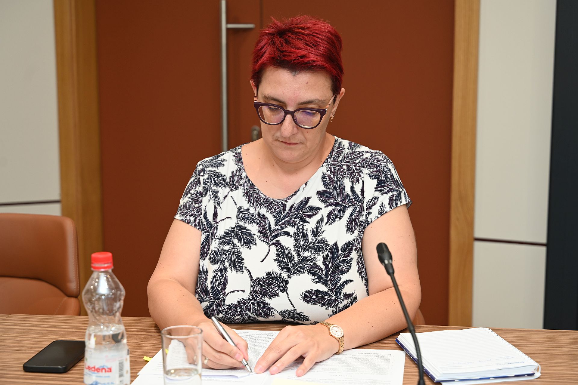 Ministrica finansija Dženana Čišija